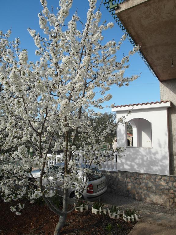 Apartment Antonio Шибеник Экстерьер фото